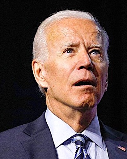 BidenBlankStare Joe Biden: The 'Adult in Charge' President, 2024