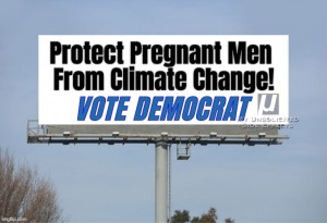 VDBB01 Protect Pregnant Men, Vote Democrat!