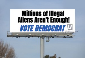 VDBB05 Millions of Illegal Aliens Aren't Enough: Vote Democrat!