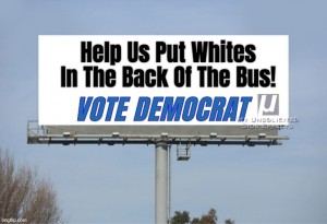 VDBB06 Help Us Put Whites in the Back of the Bus: Vote Democrat!