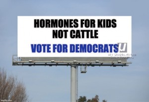 VoteDem03 Hormones for Kids, Not Cattle: Vote Democrat!